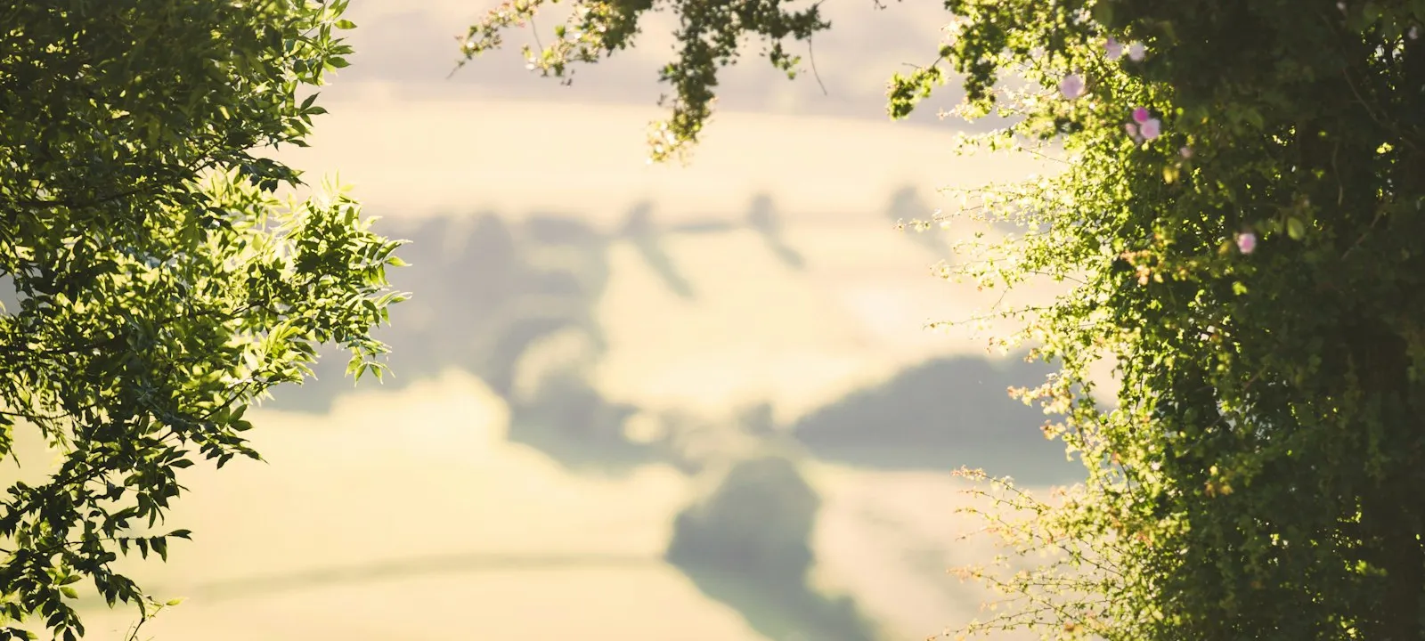 Looking out over a stone wall to the Cotswold countryside near Cotswolds - Web Design Gloucester | Bloxli Web Design Gloucester