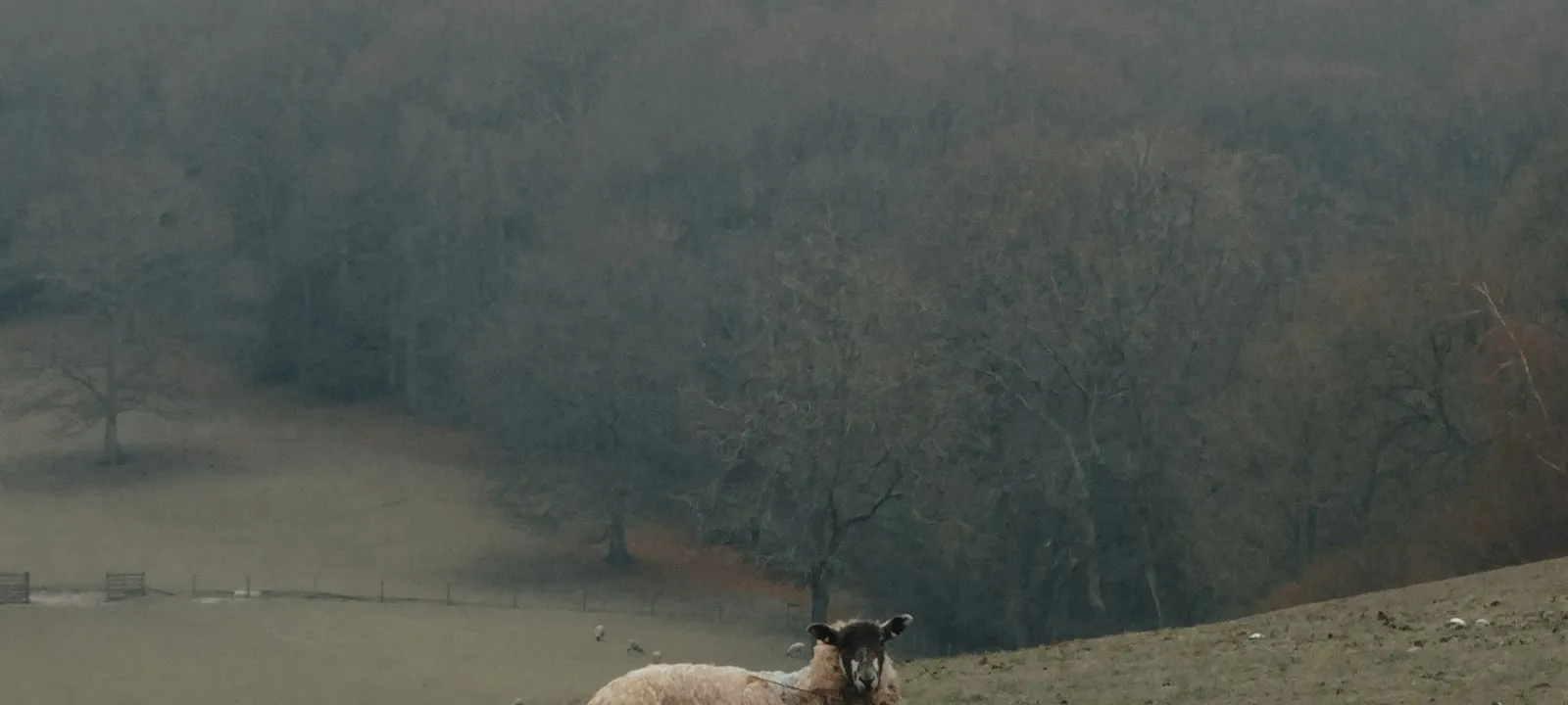 Cradley, Malvern, UK - Web Design Herefordshire | Bloxli Web Design Herefordshire