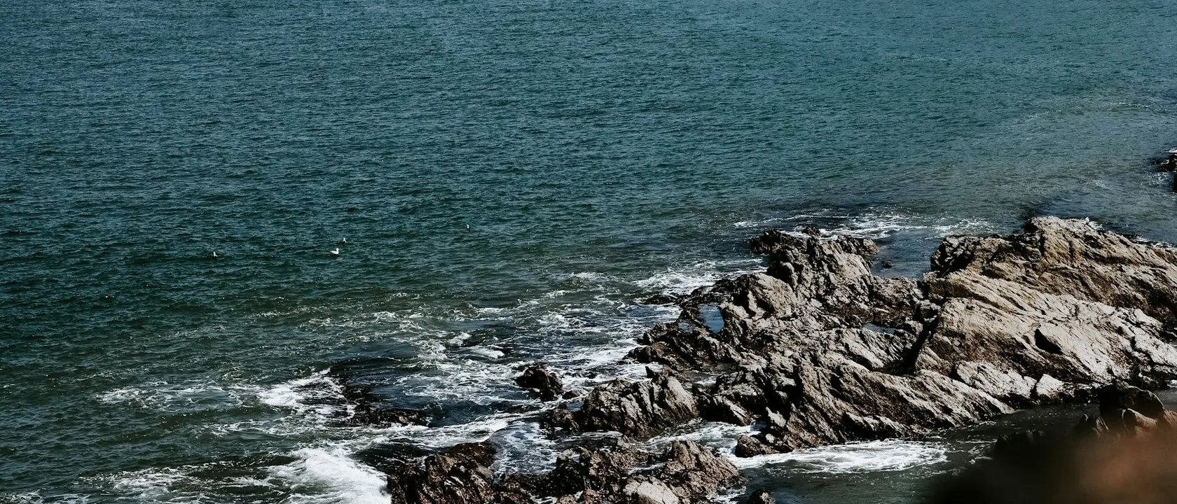 Ilfracombe coastline on the North Devon coast - Web Design Bideford | Bloxli Web Design Bideford