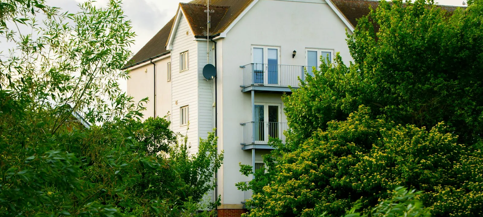 A canterbury house in the distance through the trees - Web Design Essex | Bloxli Web Design Essex