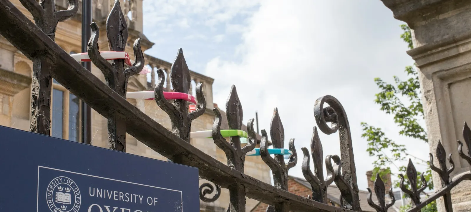 Toothbrushes on the fence in Oxford - Web Design Oxford | Bloxli Web Design Oxford