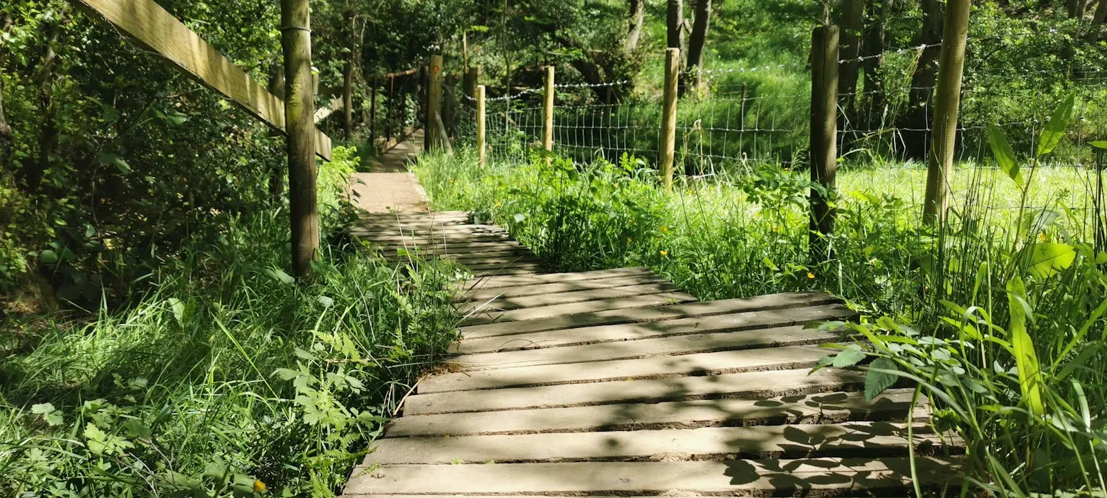 Walking hiking path through British countryside in the sunshine - Web Design Herefordshire | Bloxli Web Design Herefordshire